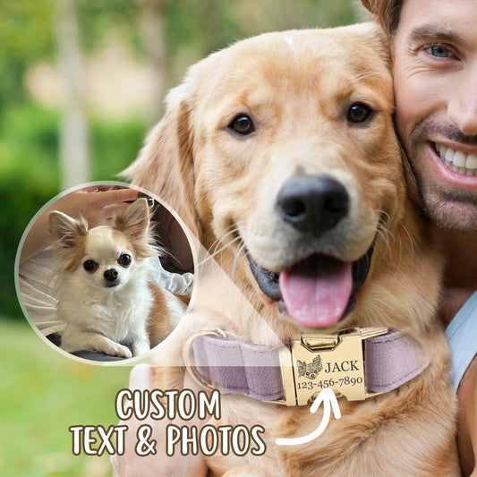 Custom Velvet Dog Collar: Personalized Portrait, Engraved ID